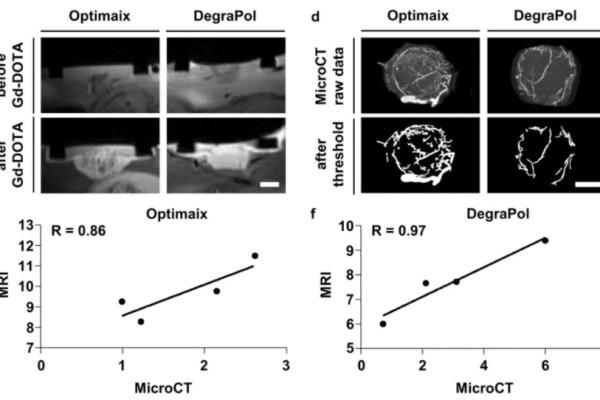 Novel multimodal MRI and Micro-CT imaging approach to quantify angiogenesis and 3D vascular architecture of biomaterials